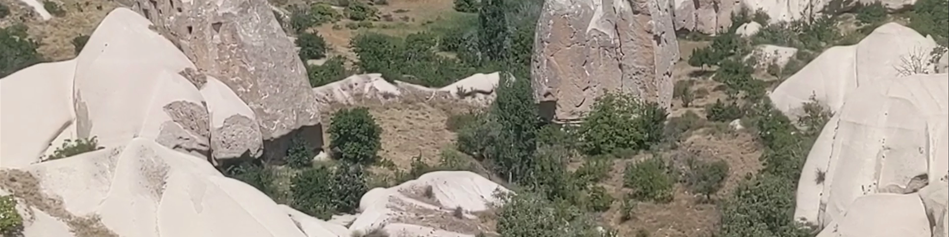 Tekelli