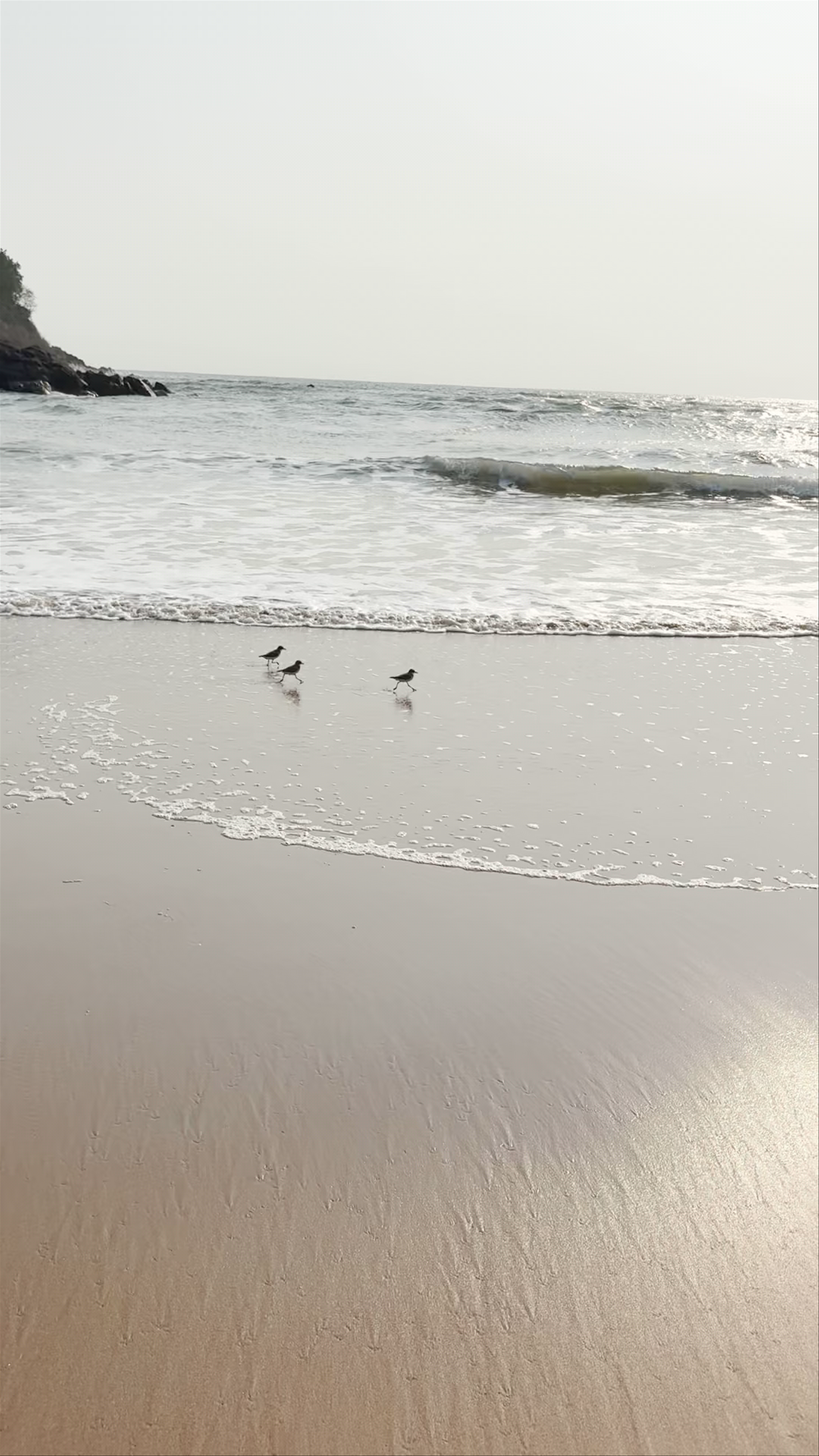 Galgibaga Beach
