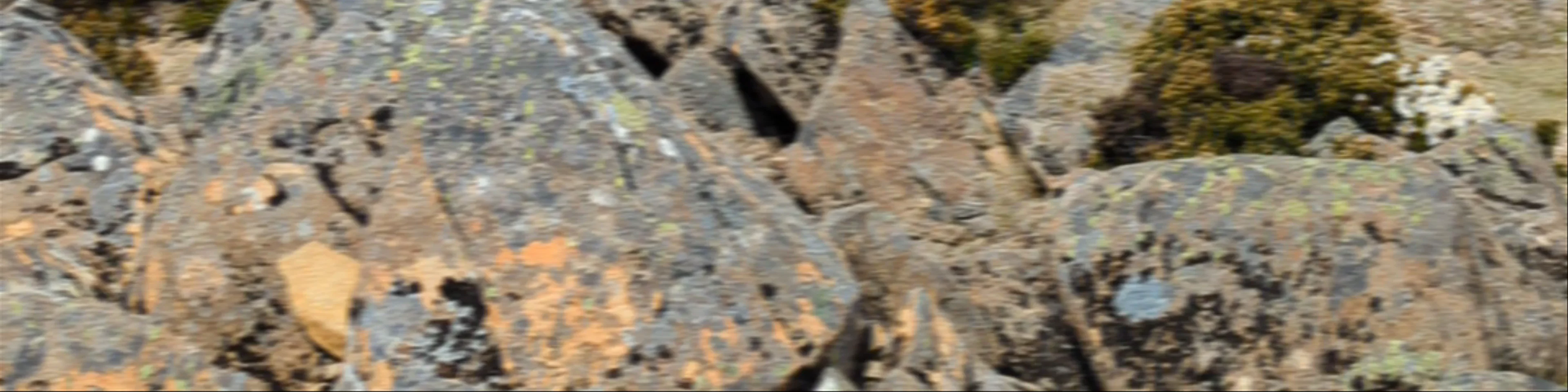 Mount Rufus