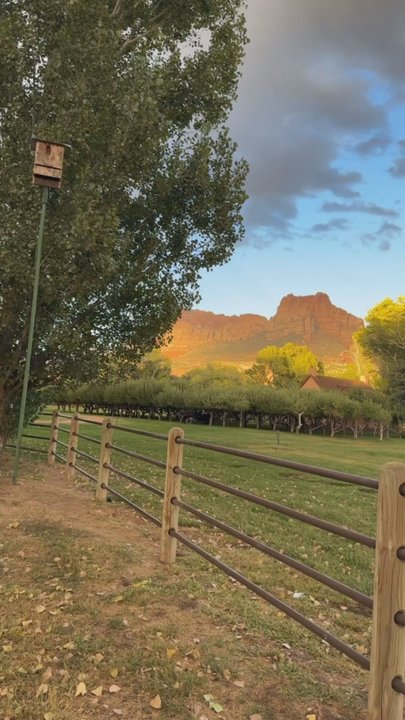 Wild Thyme Cafe - Whiskey Bars Near Me - Springdale, Utah