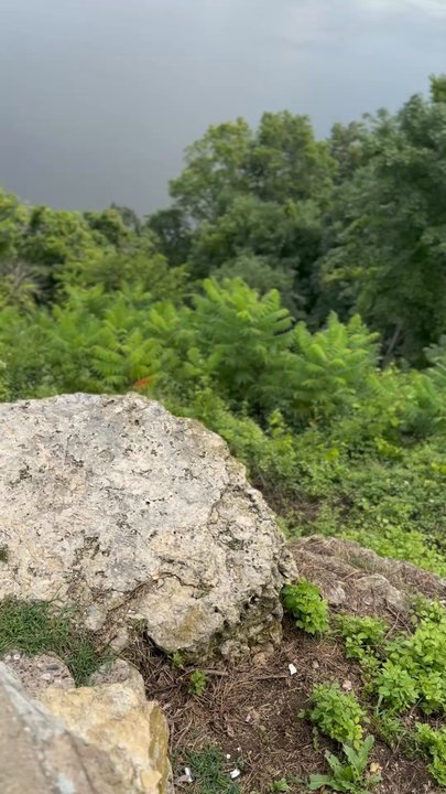 Pikes Peak State Park - View of Mississippi River - Parks Near Me - Mc Gregor, Iowa