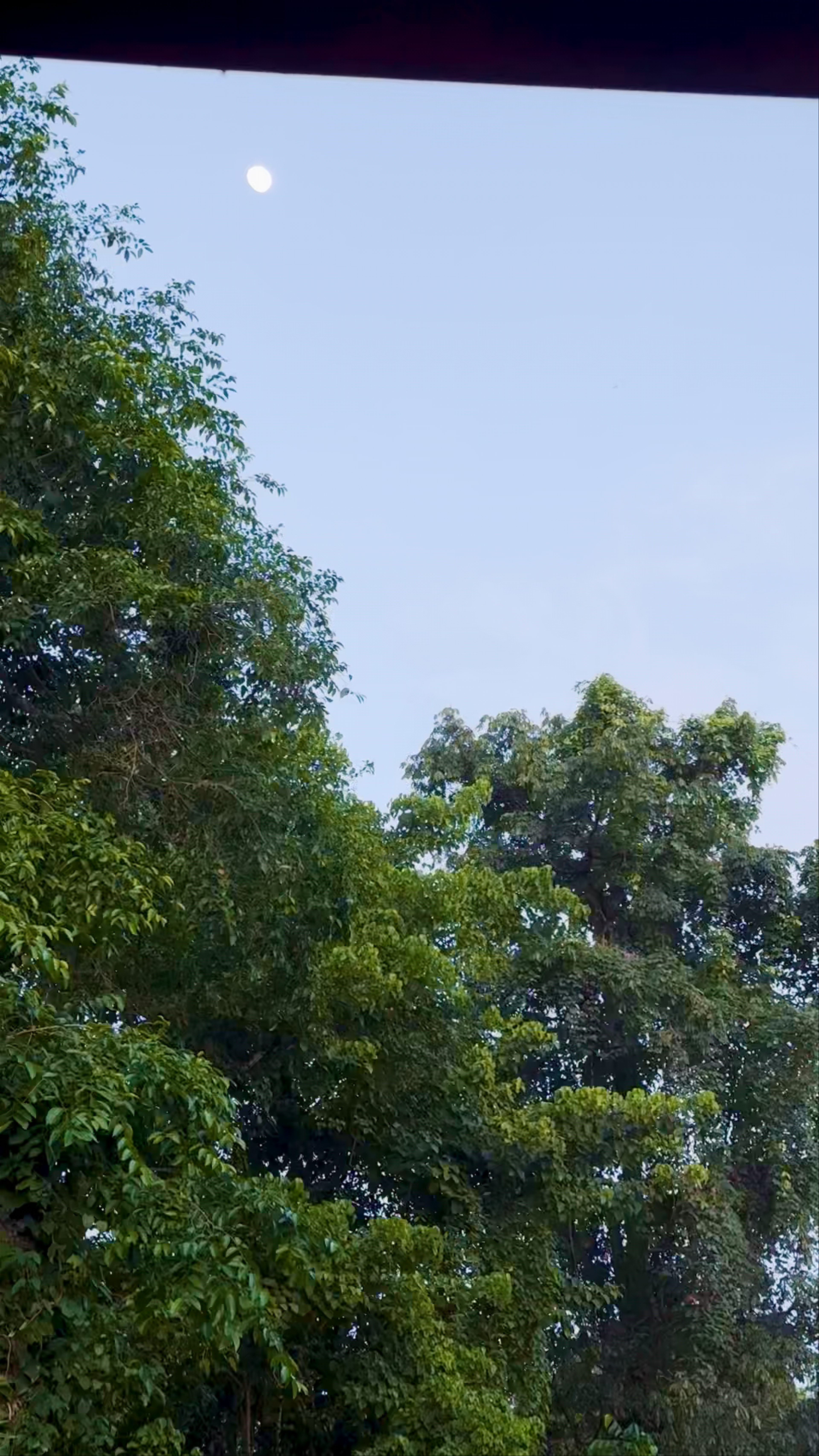 Casa Selva