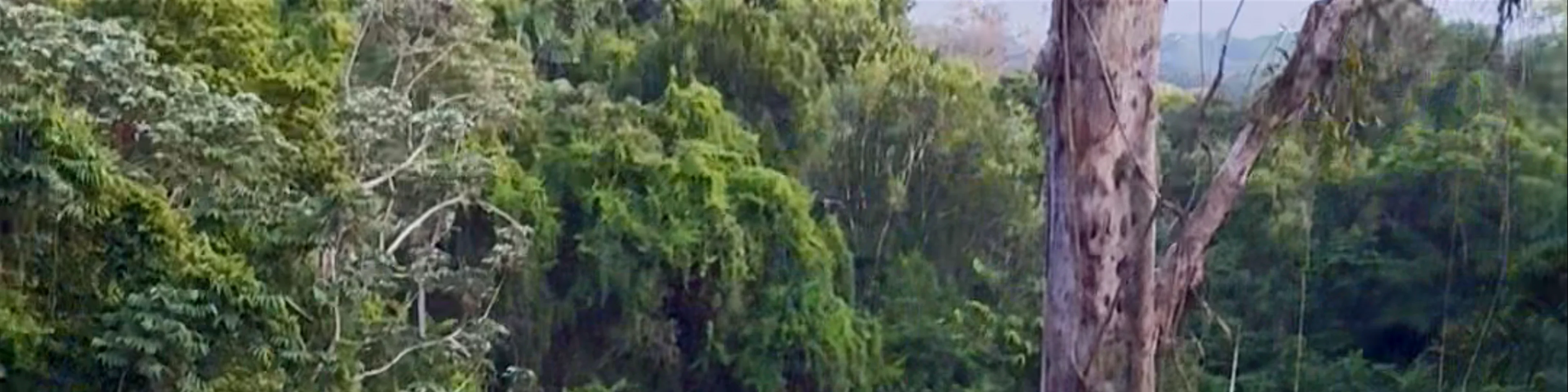 Casa Selva