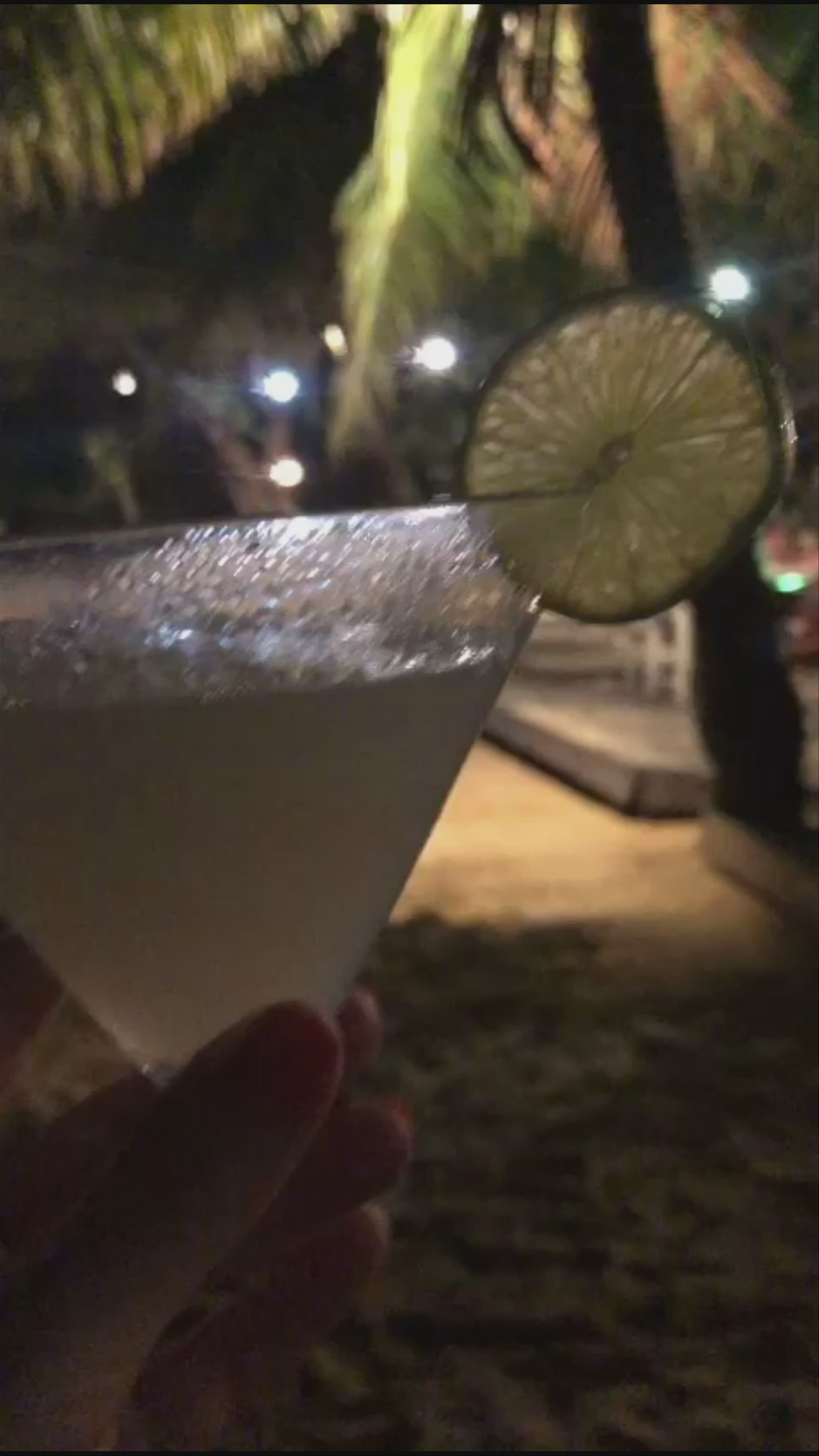 Tree House Bungalows