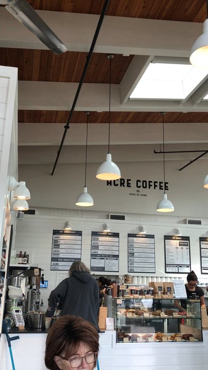 Avid Coffee - Totally poppin! - Cafes Near Me - Santa Rosa, California