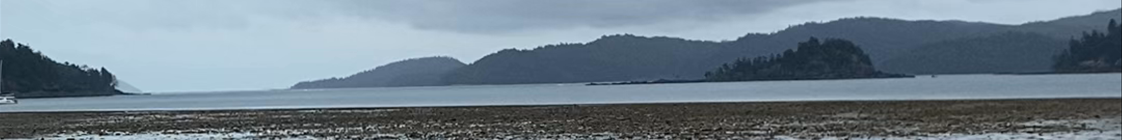 Tours & experiences in Cannonvale