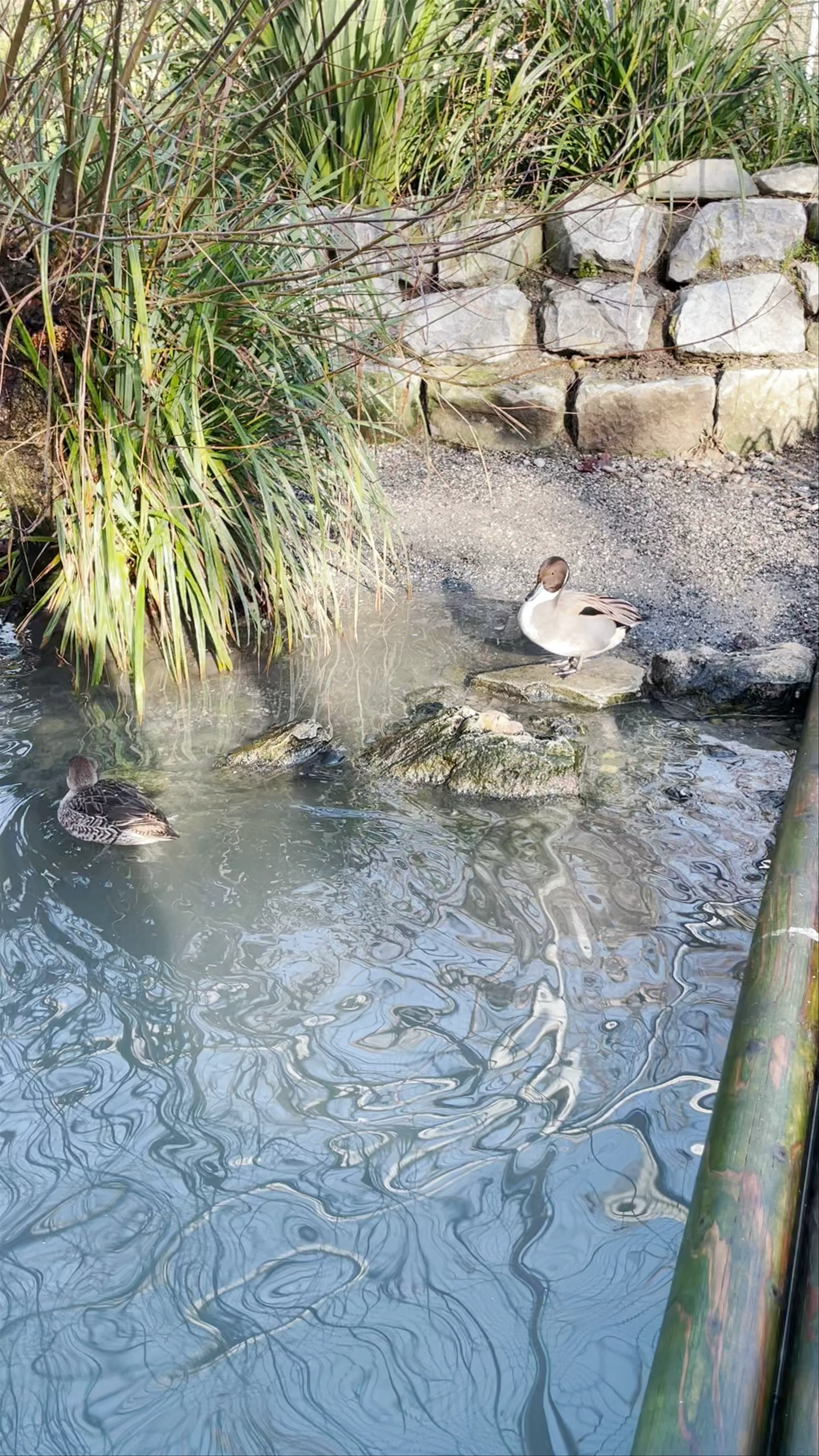 Parc aux animaux du Bois-de-la-Bâtie