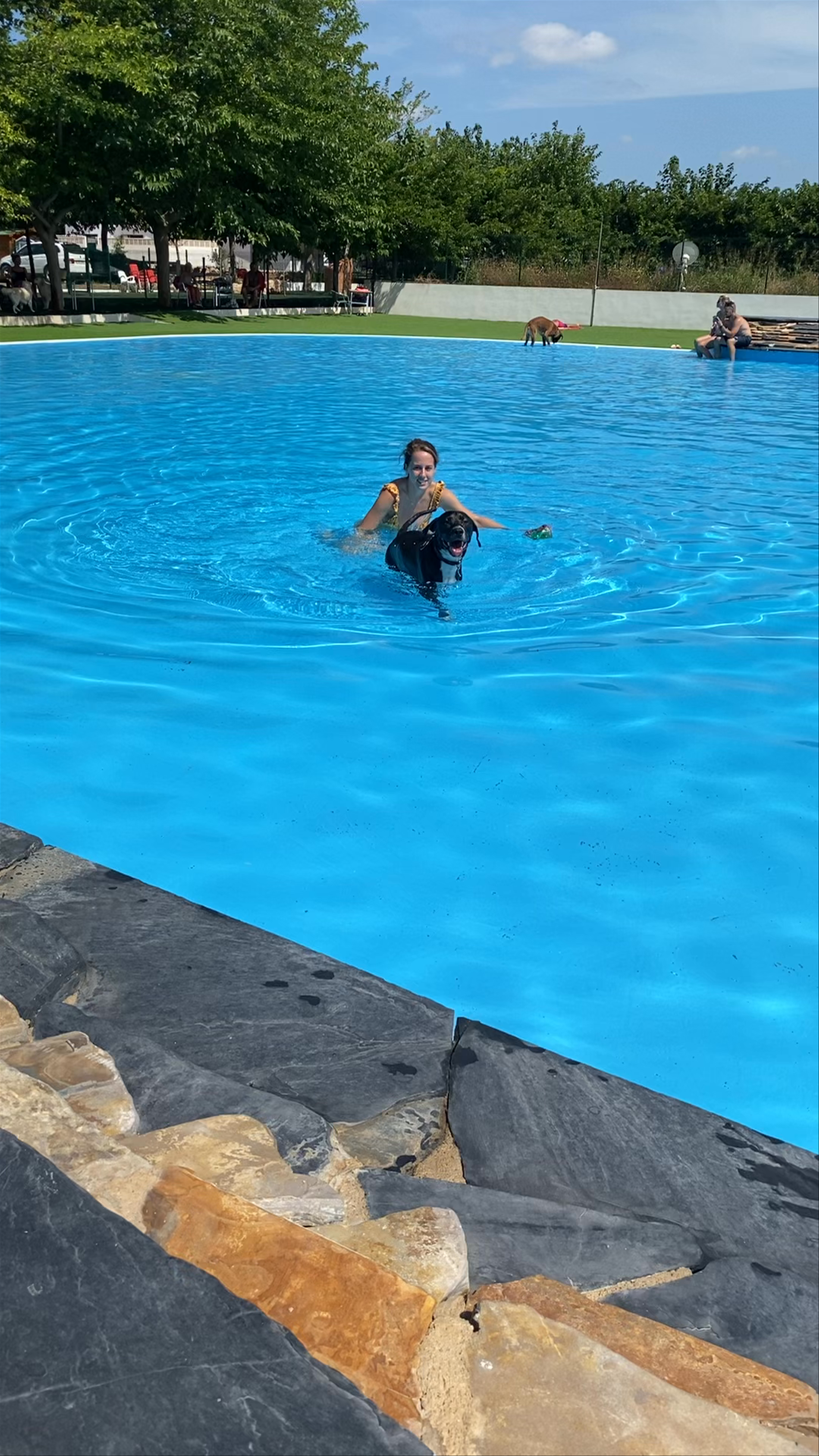 Refreshing Summer Fun with Dogs at TRUST Resort in Ondara