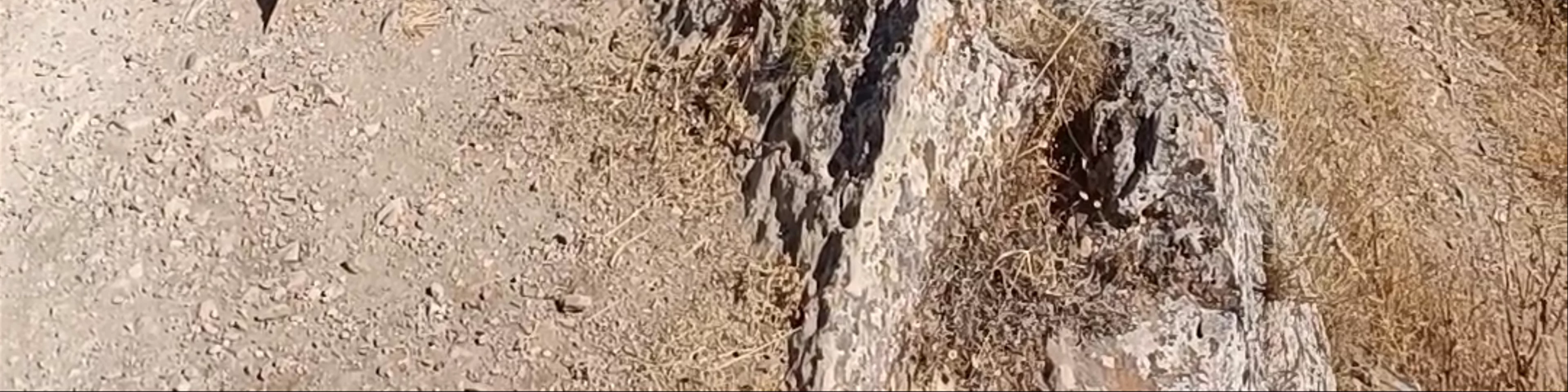 Molinos de Viento de Consuegra