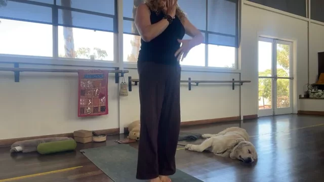 Slow Flow: MOVE IN EVERY DIRECTION  (60 minutes)