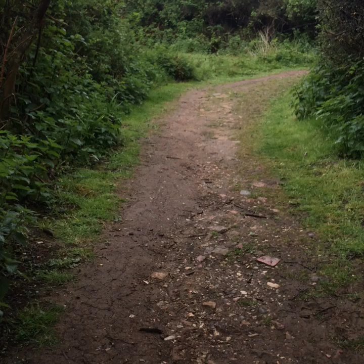Castle Hill Nature Reserve - Lovely bird song - Dog Parks Near Me - Newhaven, ESX