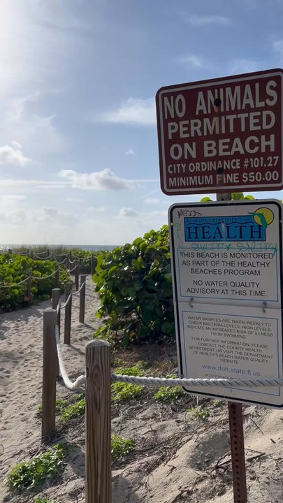 Delray Beach - Beaches Near Me - Delray Beach, Florida