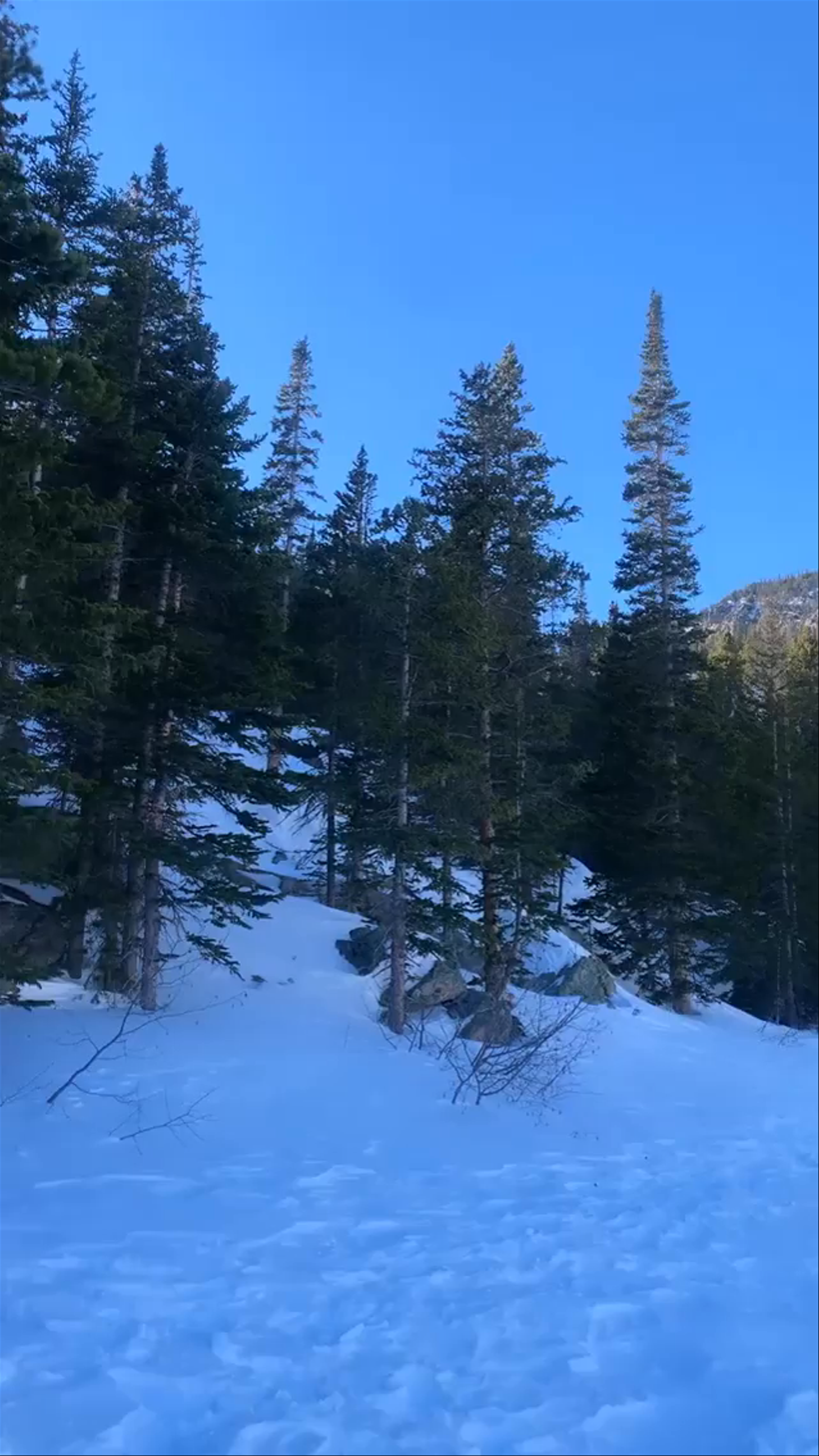 Winter Serenity on Bear Lake Trail, Estes Park