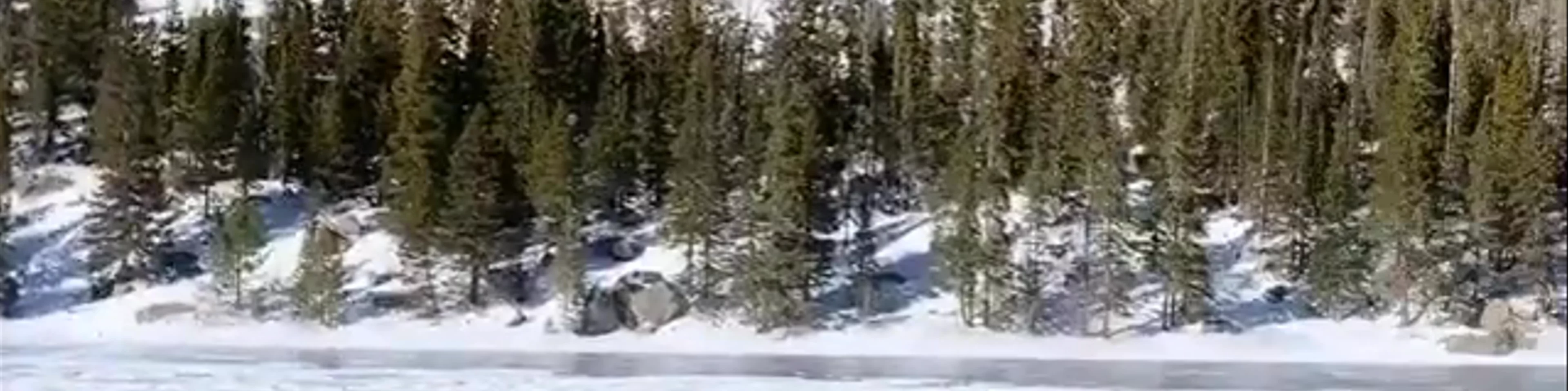Bear Lake Trail