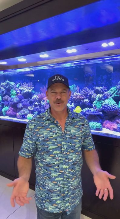 Fish Doctor - Just another day in the aquarium business AI version - Aquarium Services Near Me - Pacifica, California