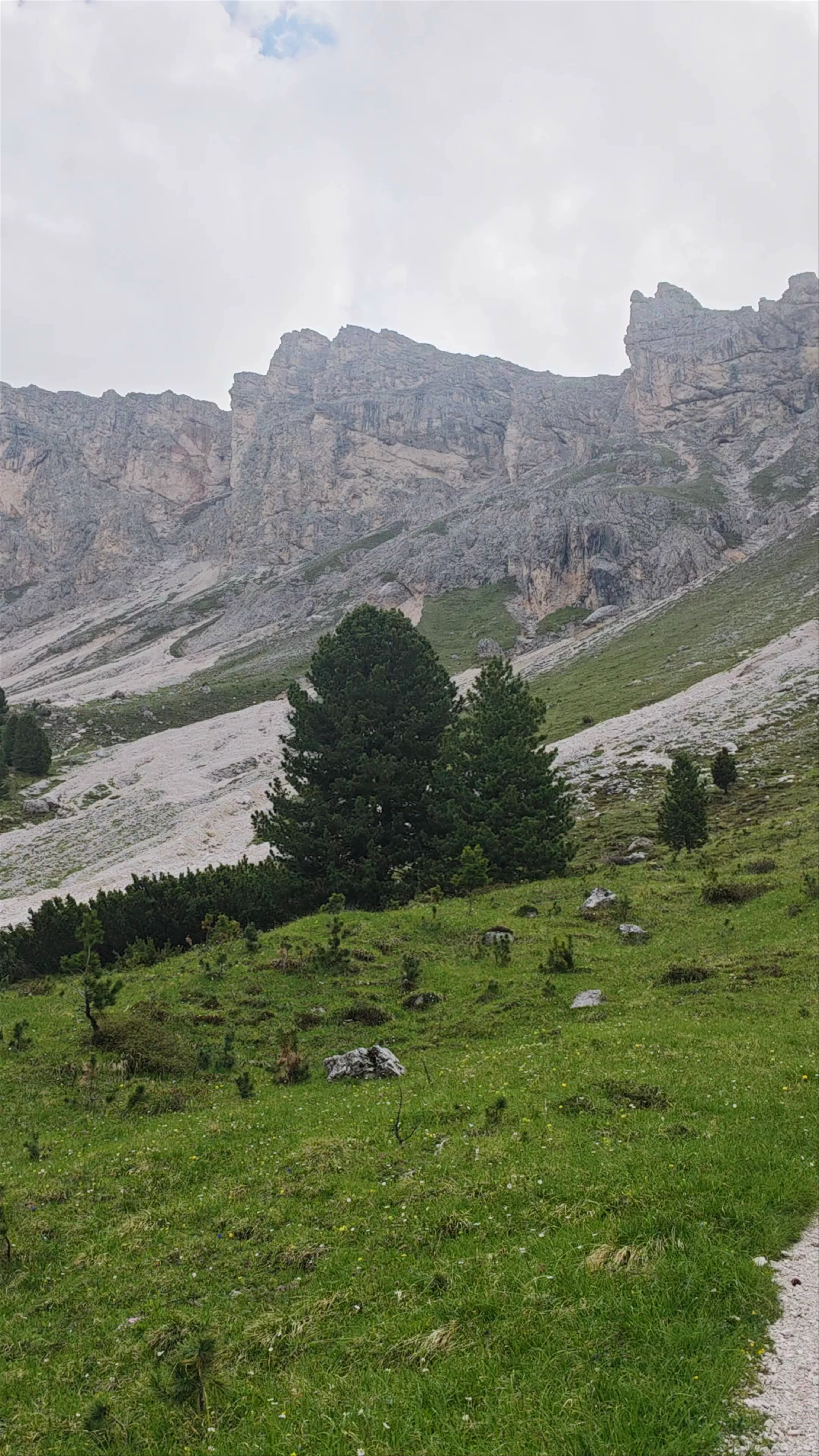 Col Raiser, Strada Raiser, Santa Cristina Gherdëina, Autonomous Province of Bolzano – South Tyrol, Italy