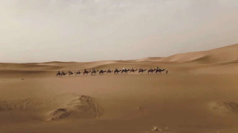 Southern Morocco: Marrakech to a Sahara Night, Kasbahs & Essaouira