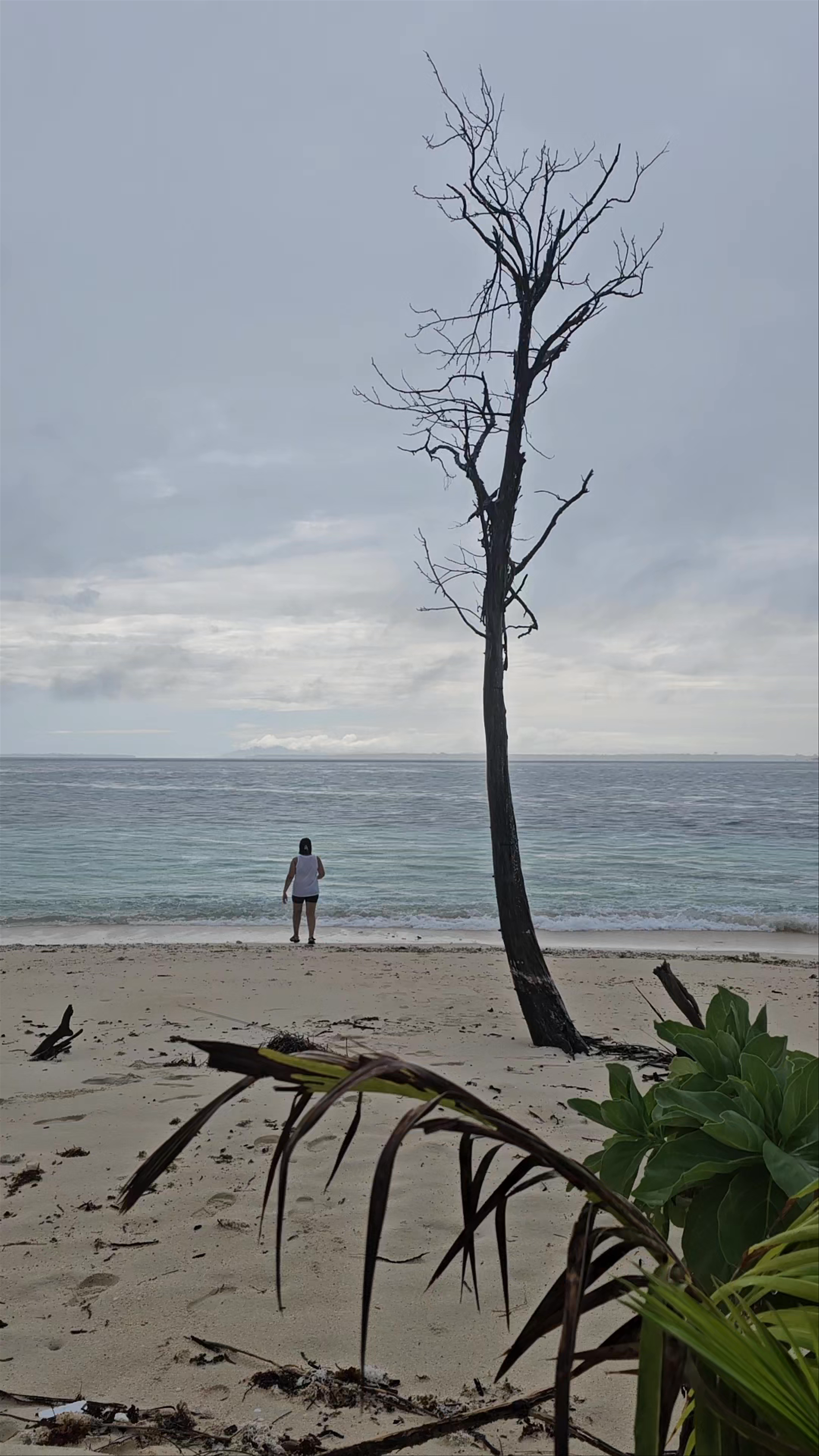Patawan Island Resort