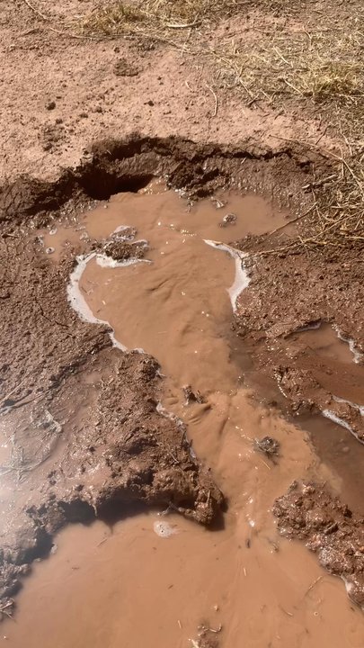 Kendall Plumbing & Rooter - The resulting flood drained into this mystery hole for hours. - Plumbing Near Me - Mesa, Arizona