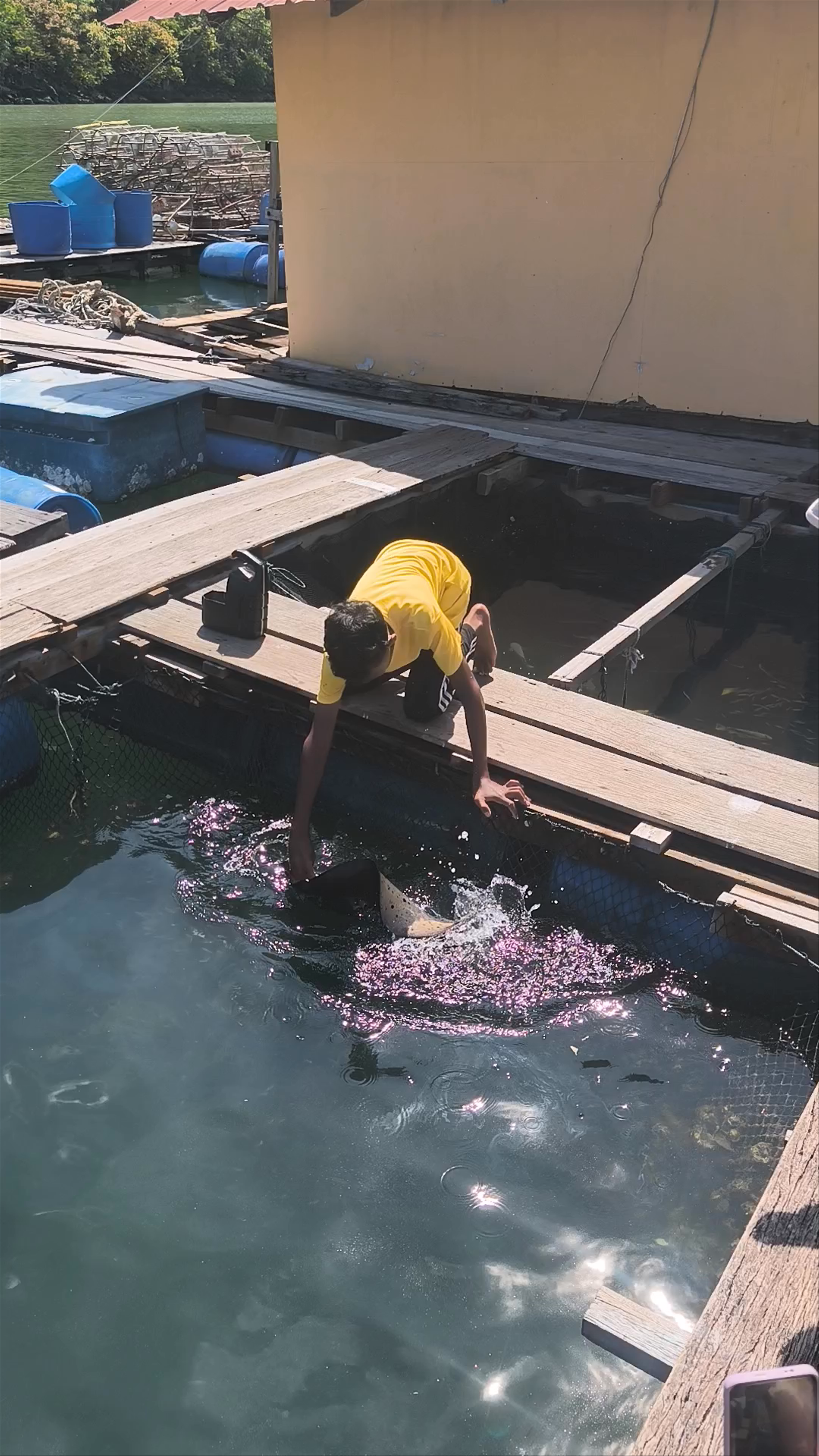 Tanjung Rhu Floating Restaurant & Fishfarm