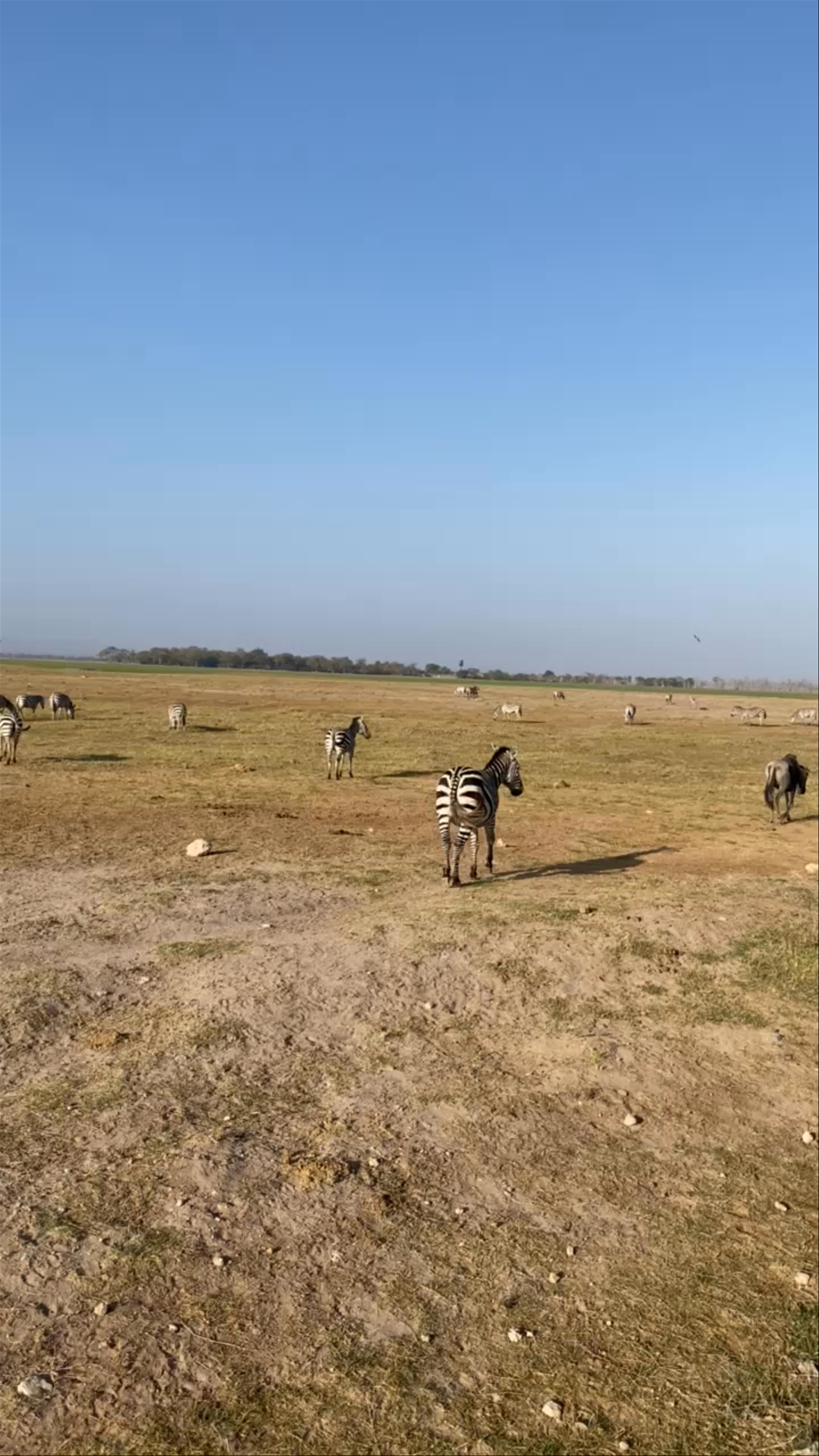Amboseli National Park