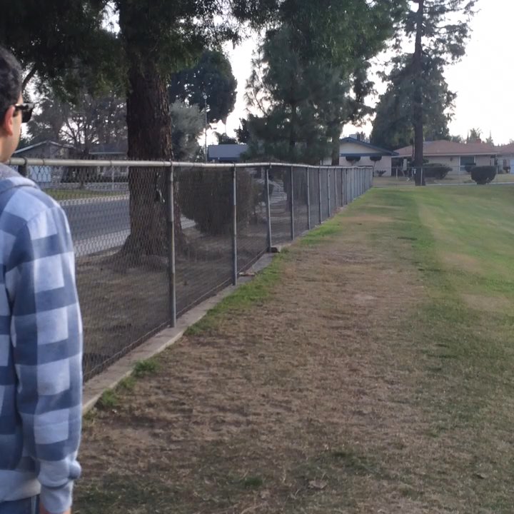 Centennial Park - The whole doggie park for your babies to play in! - Parks Near Me - Bakersfield, California