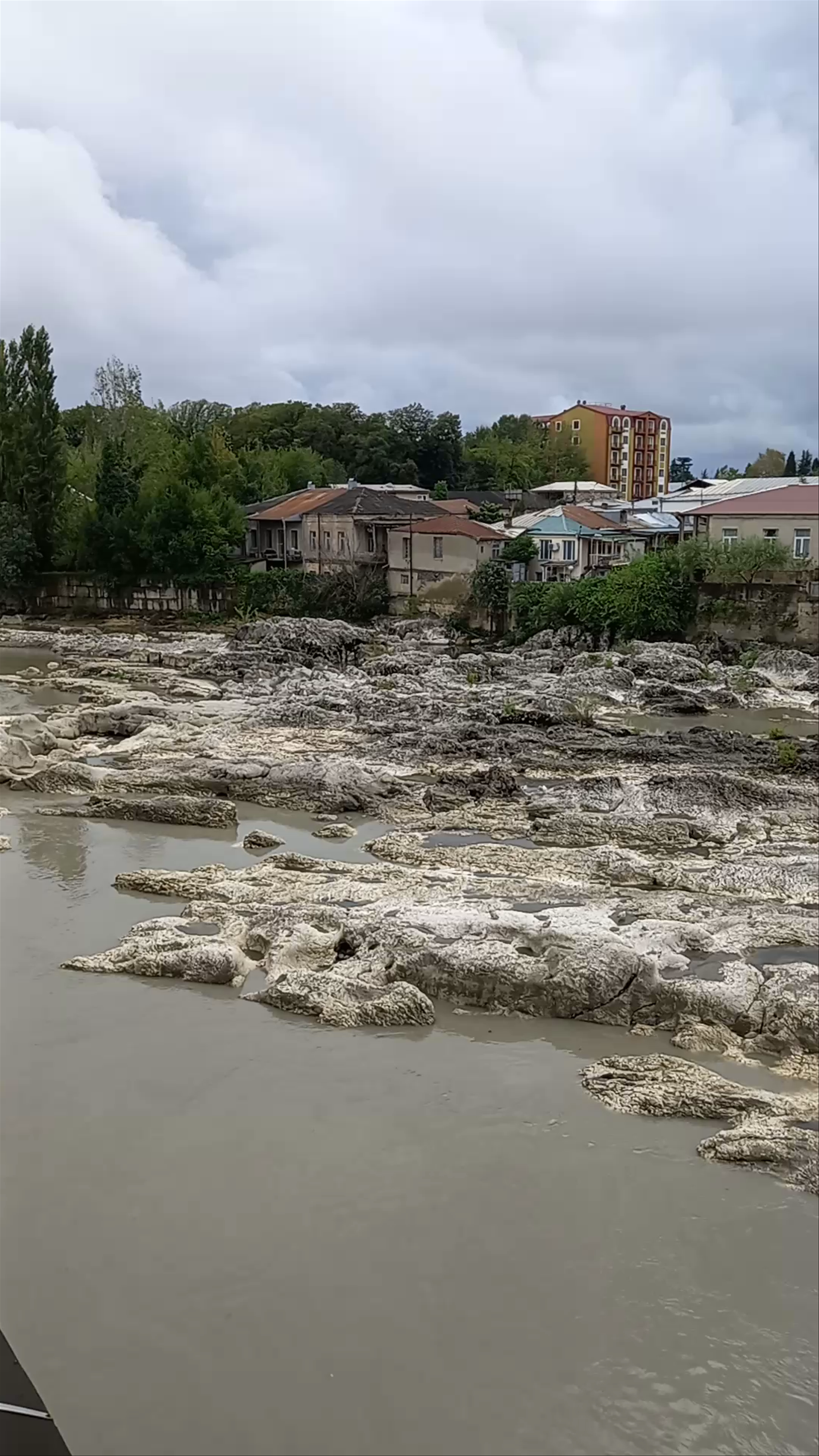 პიკასოს ბიჭი