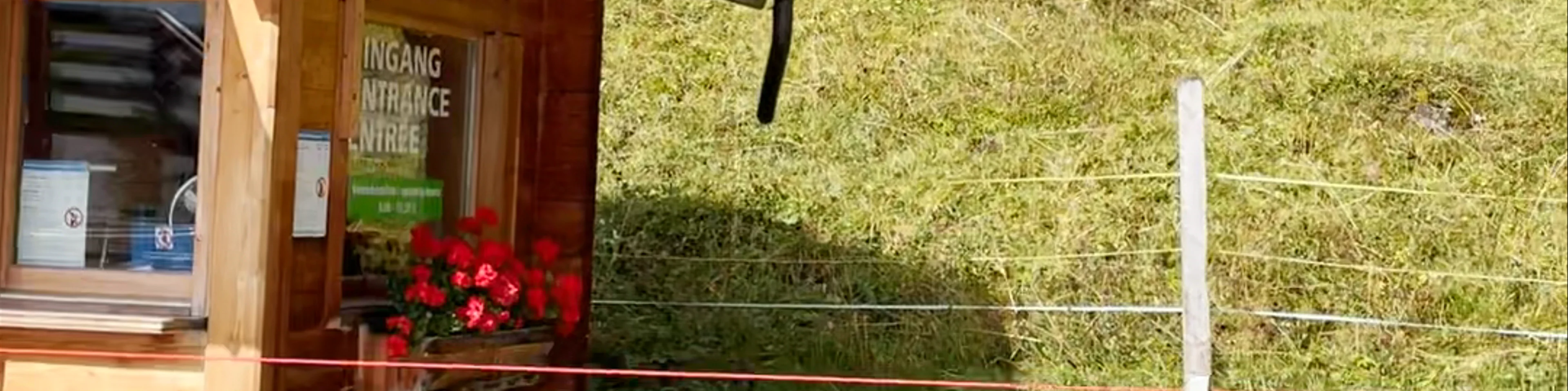 Rodelbahn Oeschinensee