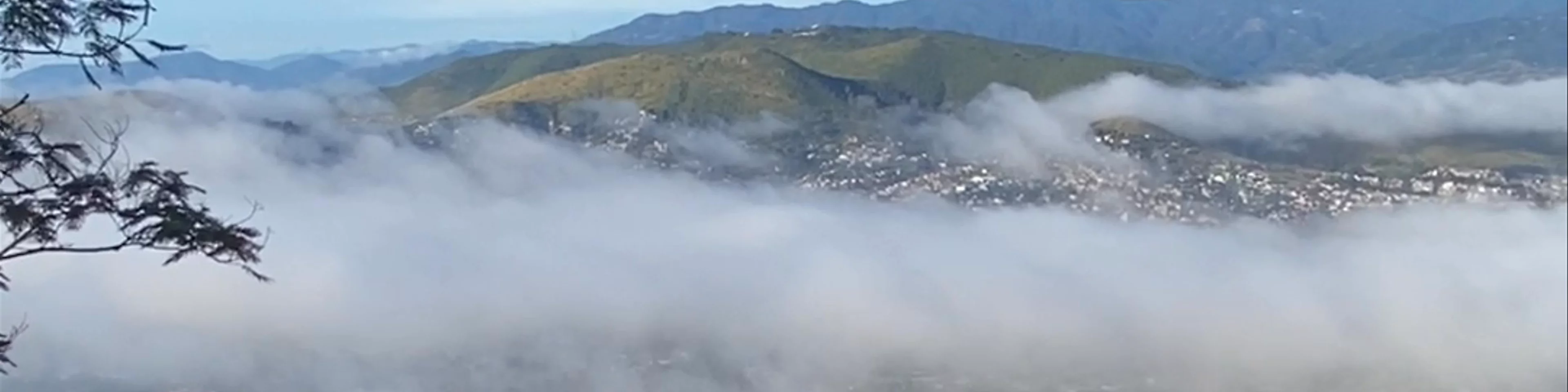 Cerro del Fortín
