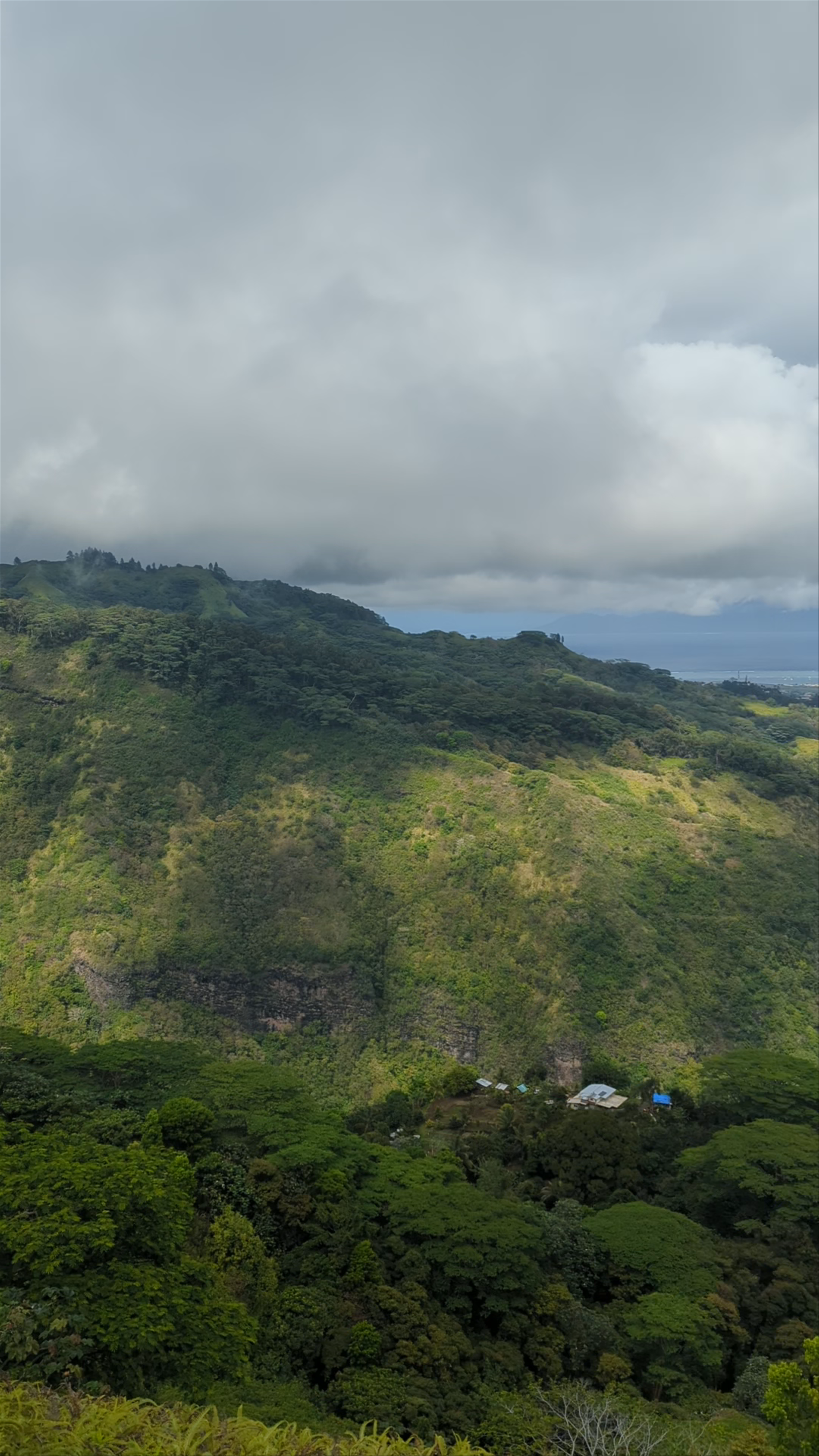 Piste de l’ Aorai (Aoria Trail)