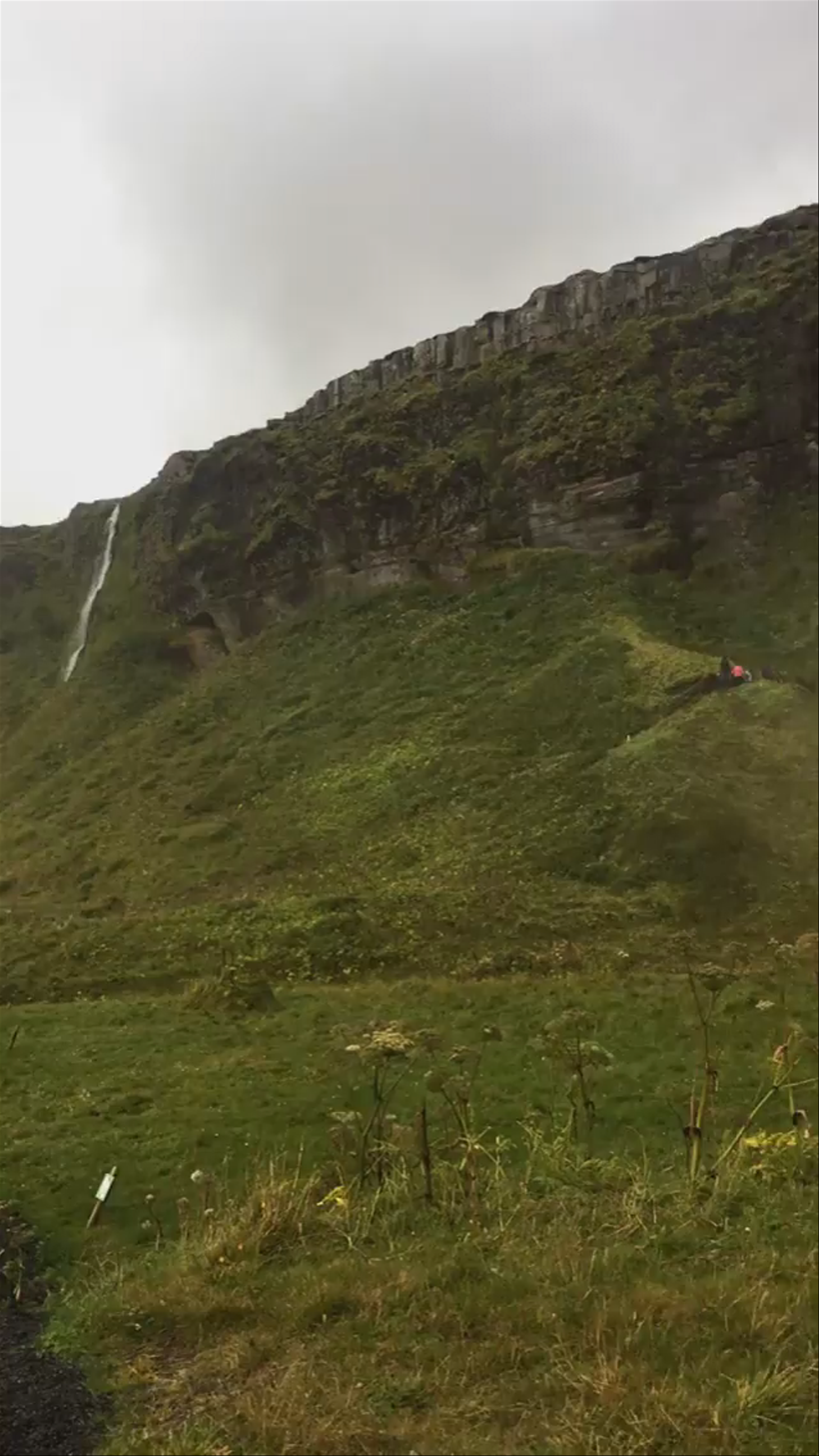 Seljalandsfoss Waterfall