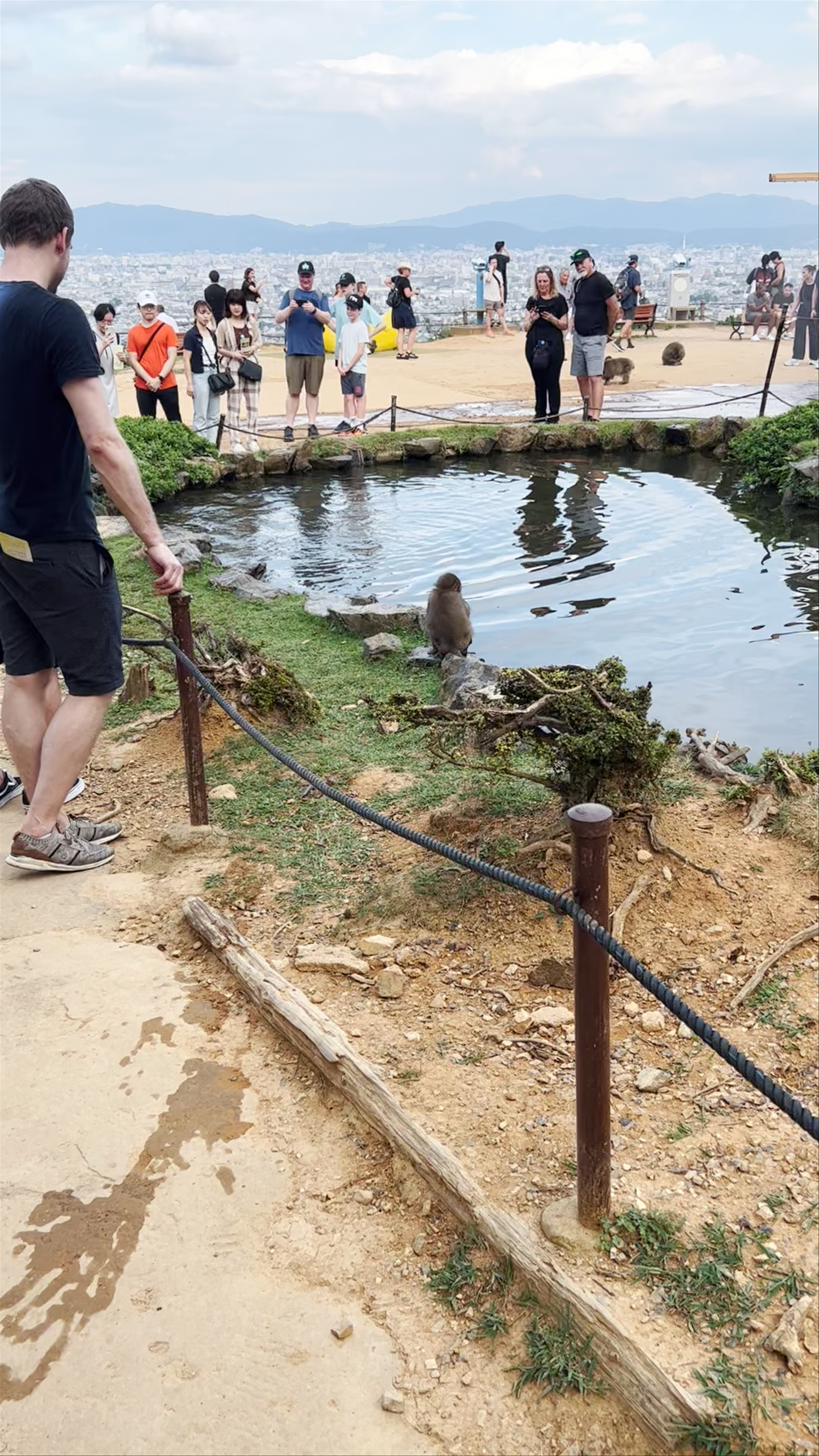 Iwatayama Monkey Park