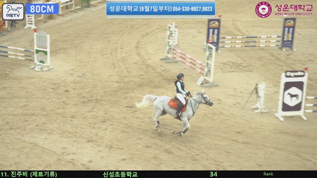 진주비 (제트기류) — 2026 손명원회장배 전국학생승마대회 · 장애물 80cm