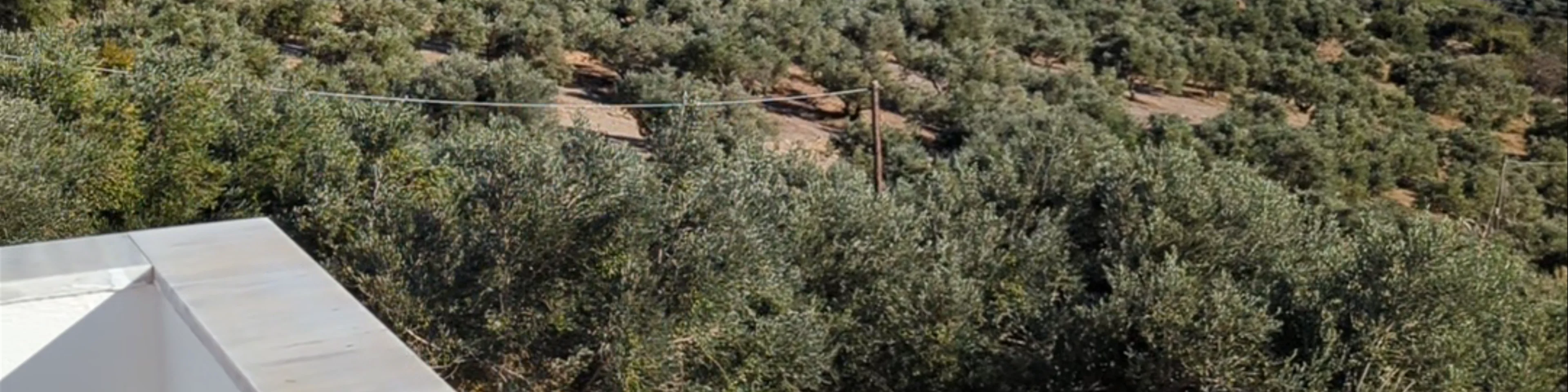 Galini Apartments