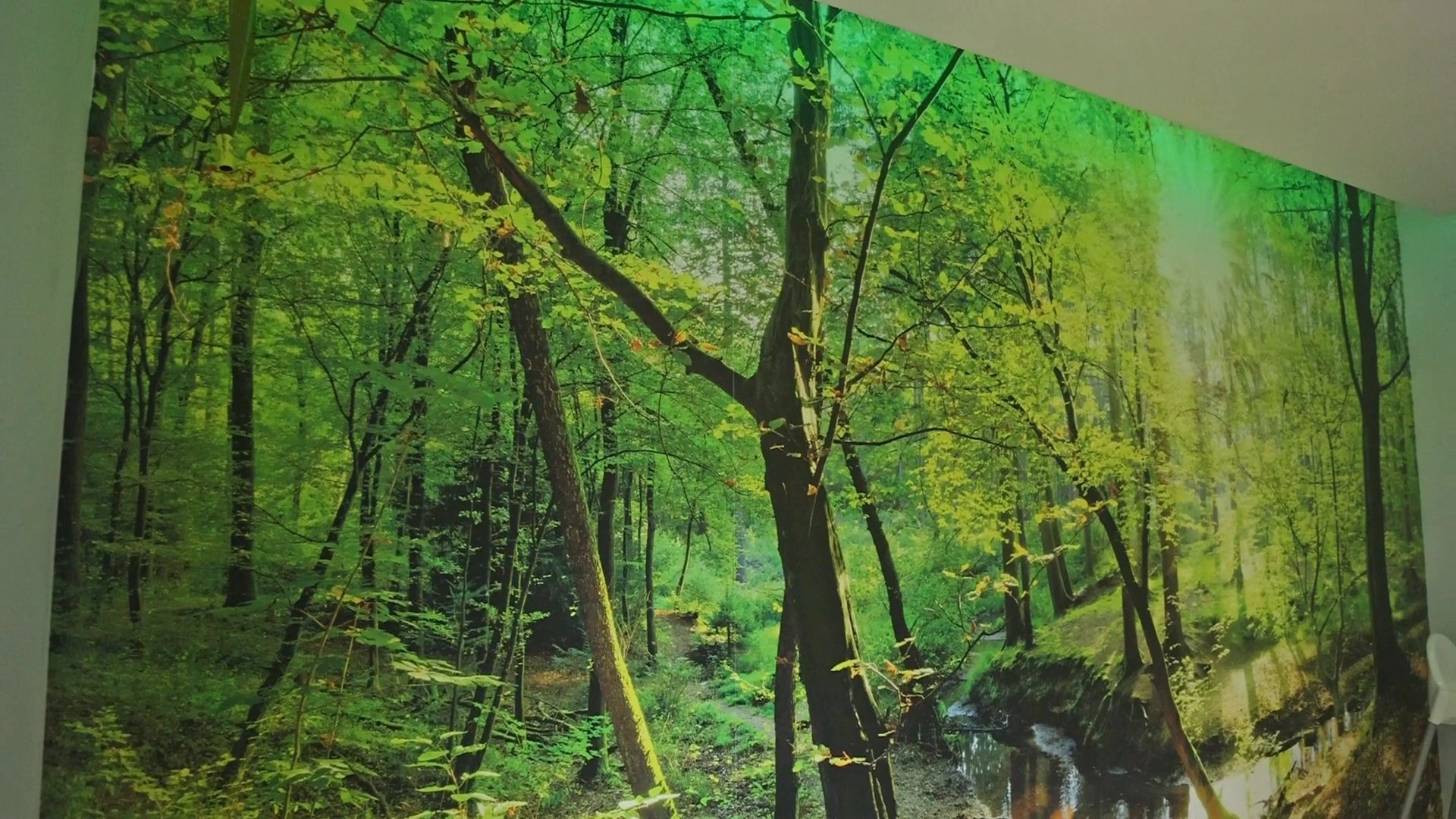 Accommodation BE-1090981-Büllingen