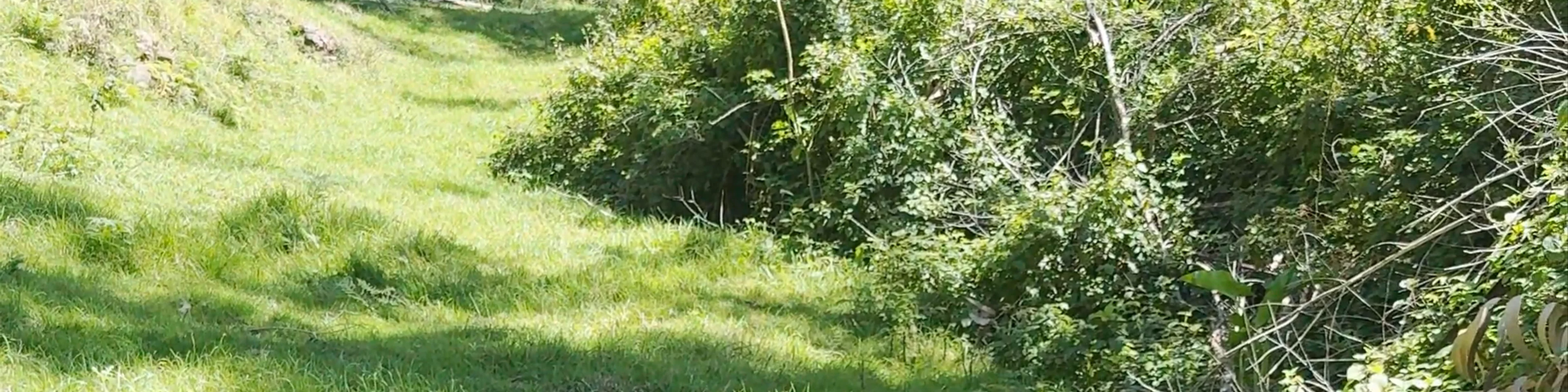 Levada Nova da Ribeira da Vaca