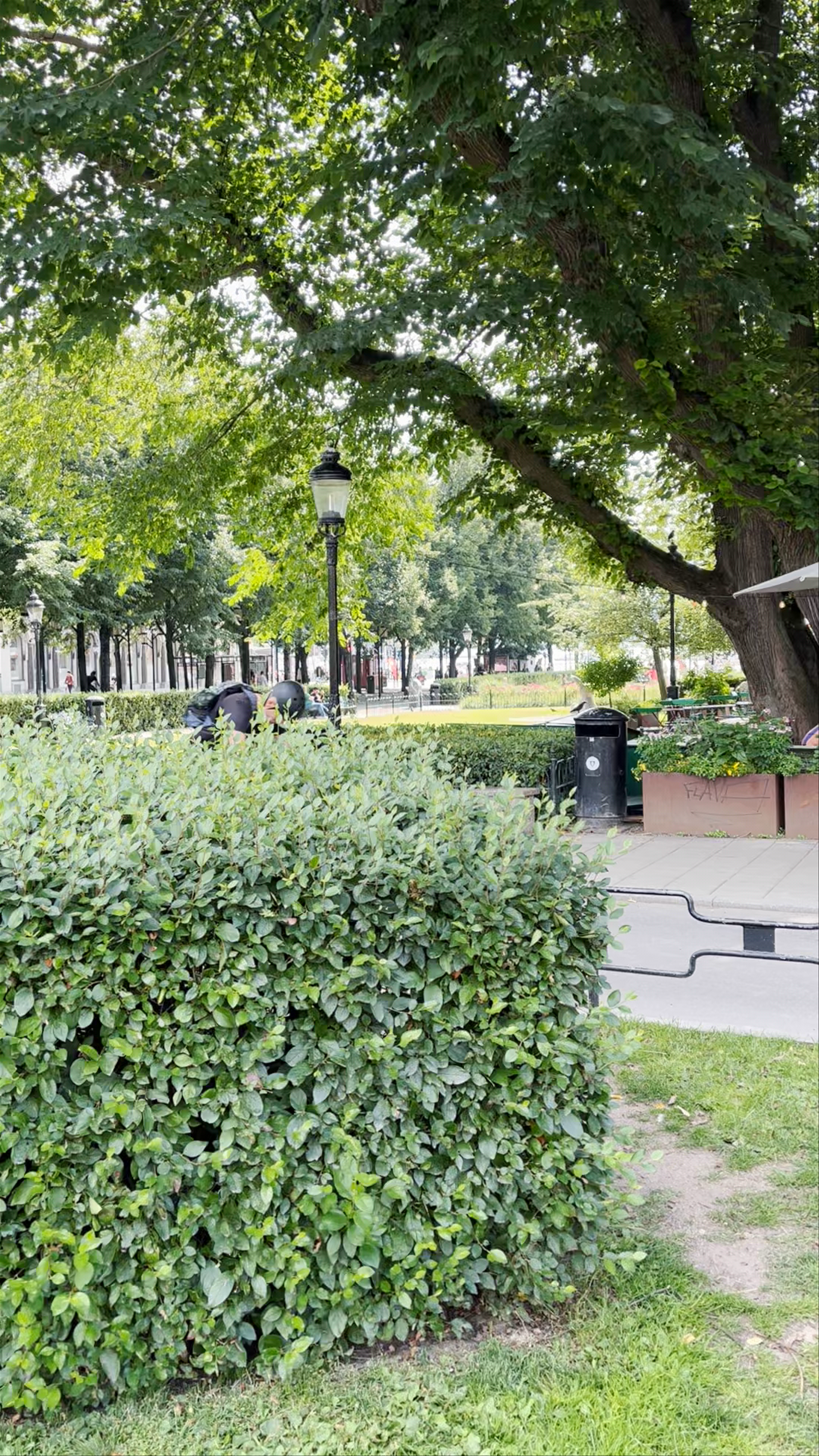 Kungsträdgården