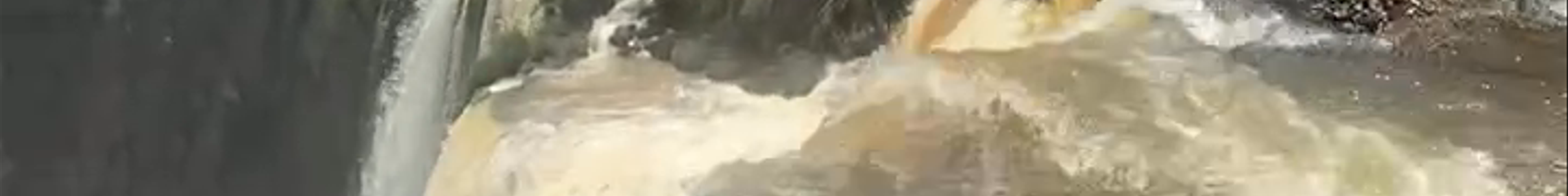 Tours & experiences in Foz do Iguaçu