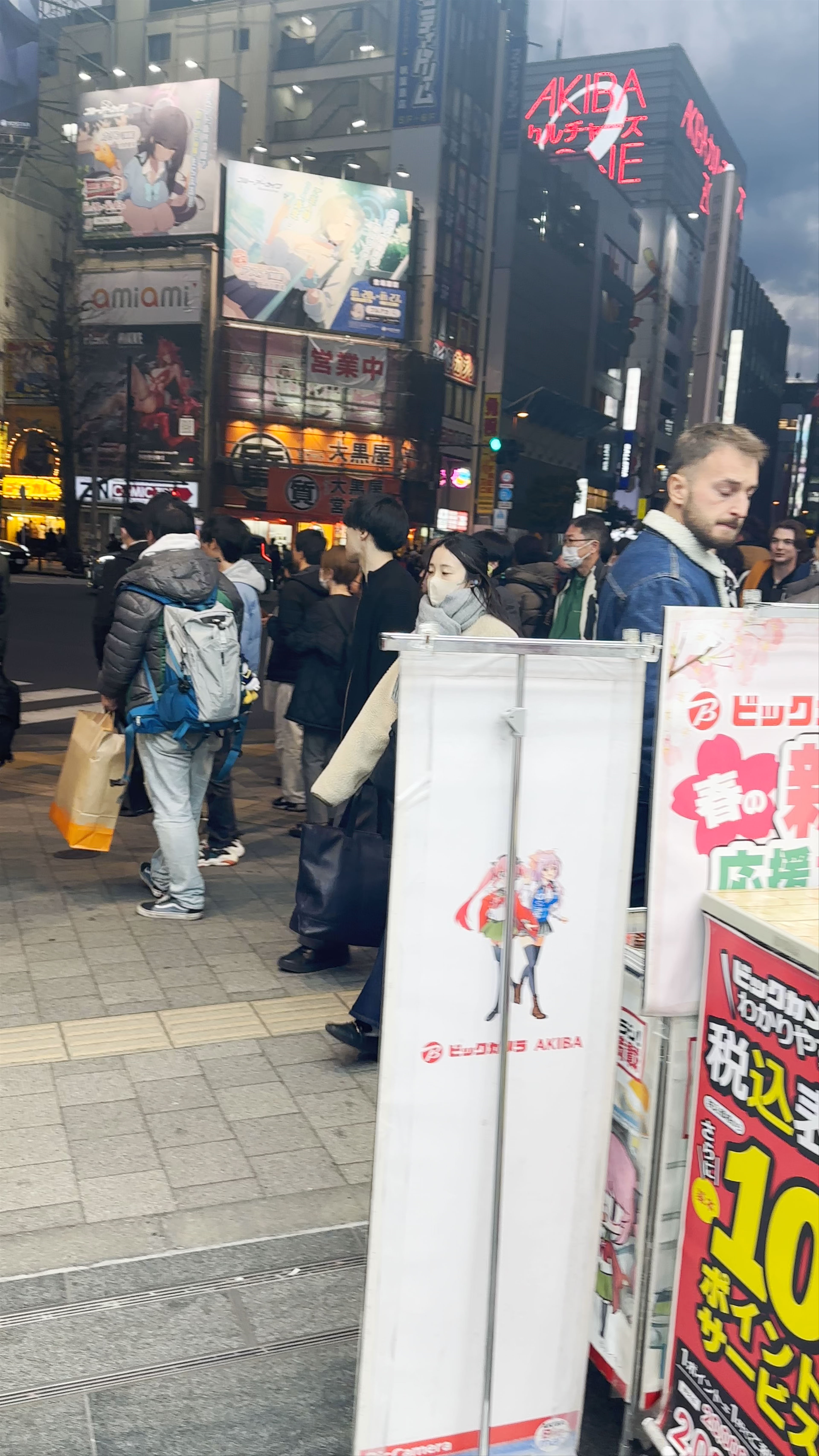 Akihabara Electric Town
