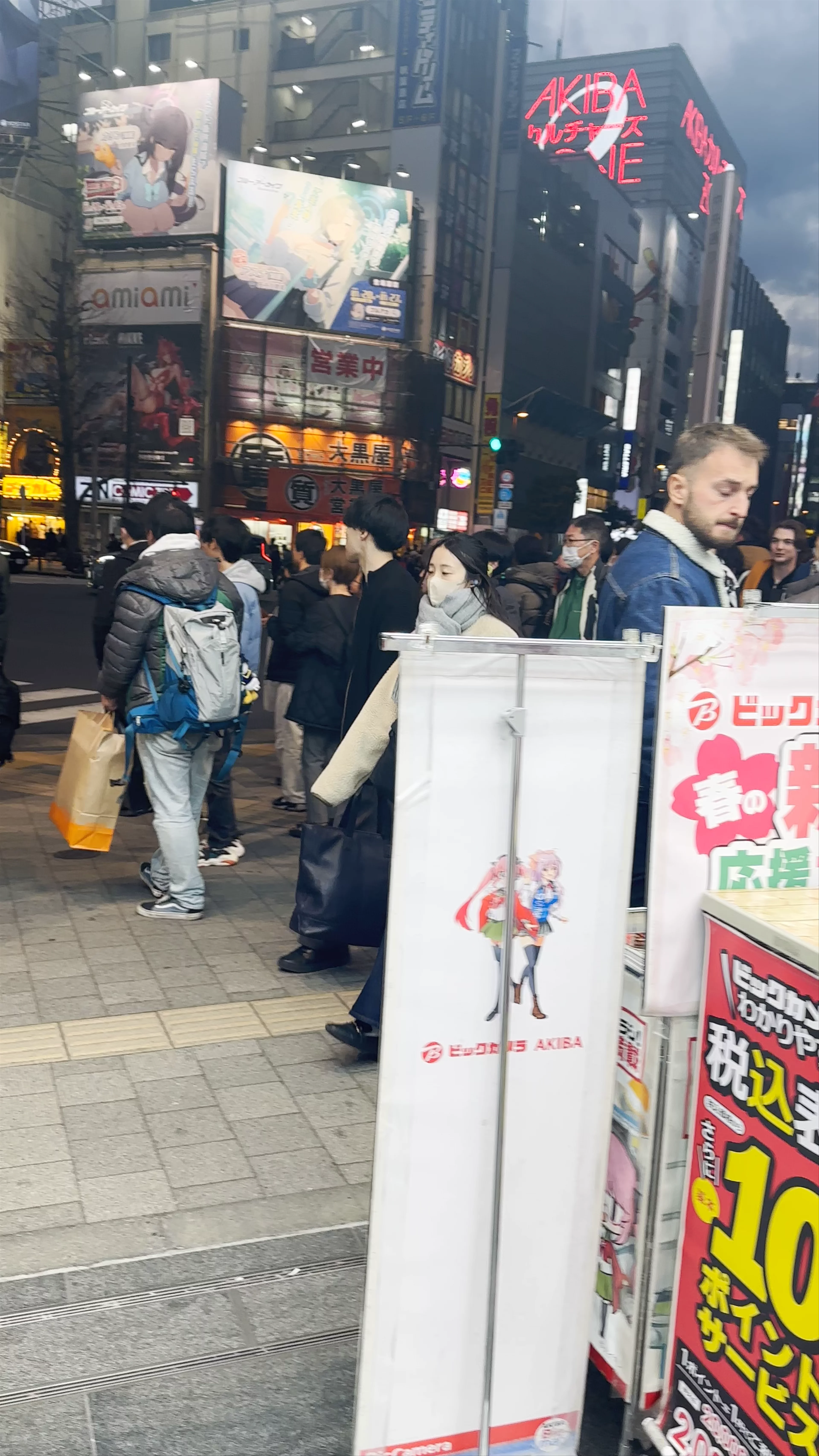Akihabara Electric Town