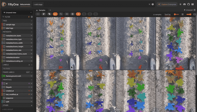 LettuceMOTS robot-captured video frames with tracked lettuce segmentation masks in the FiftyOne app