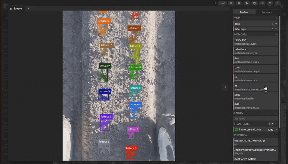 LettuceMOTS robot-captured video frames with tracked lettuce segmentation masks in the FiftyOne app