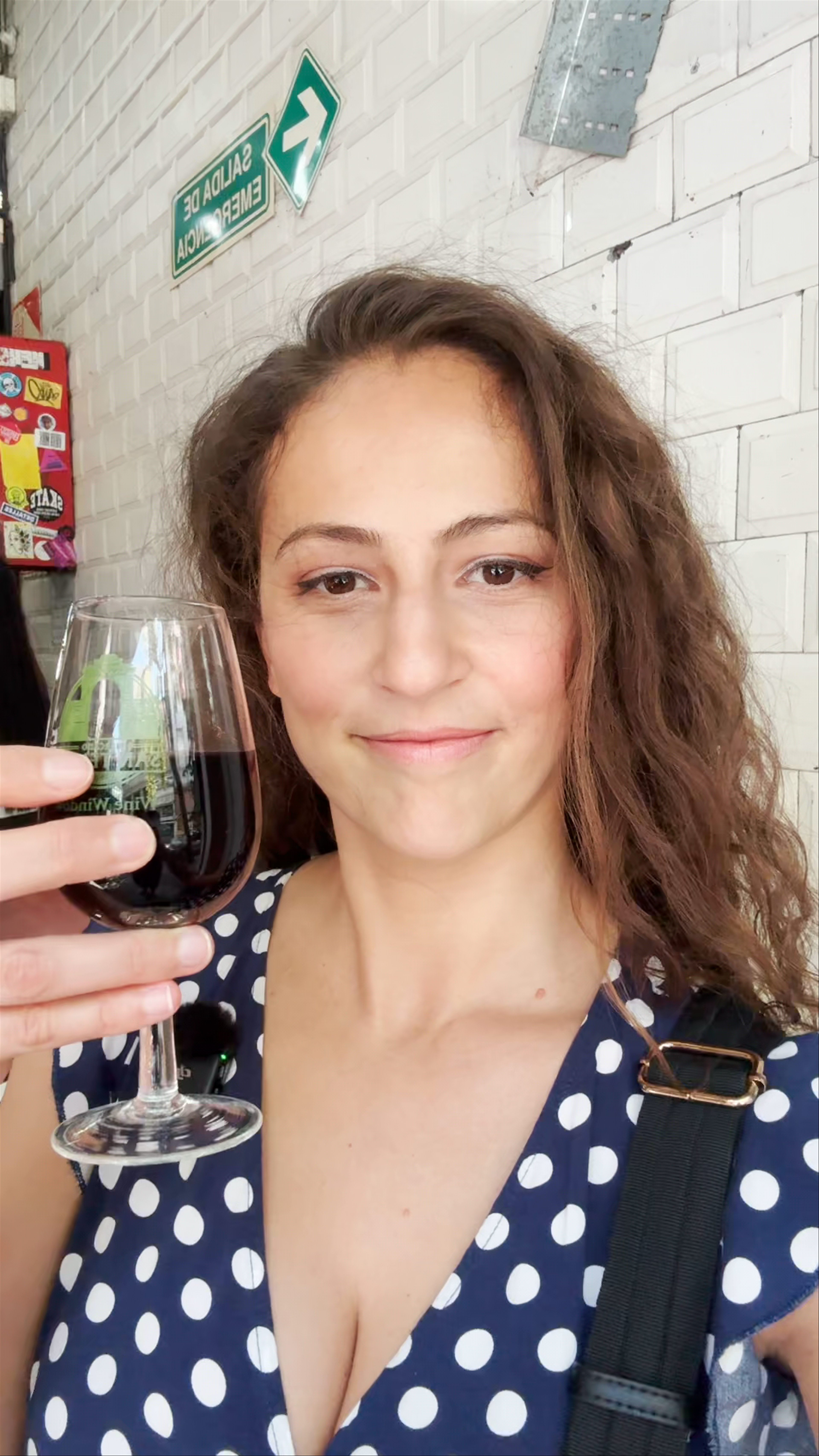 Wine Tasting at San Telmo Market, Buenos Aires