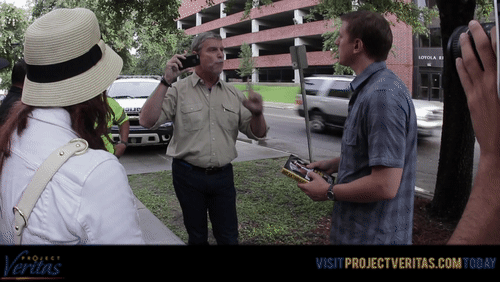 Video Thumbnail Loop