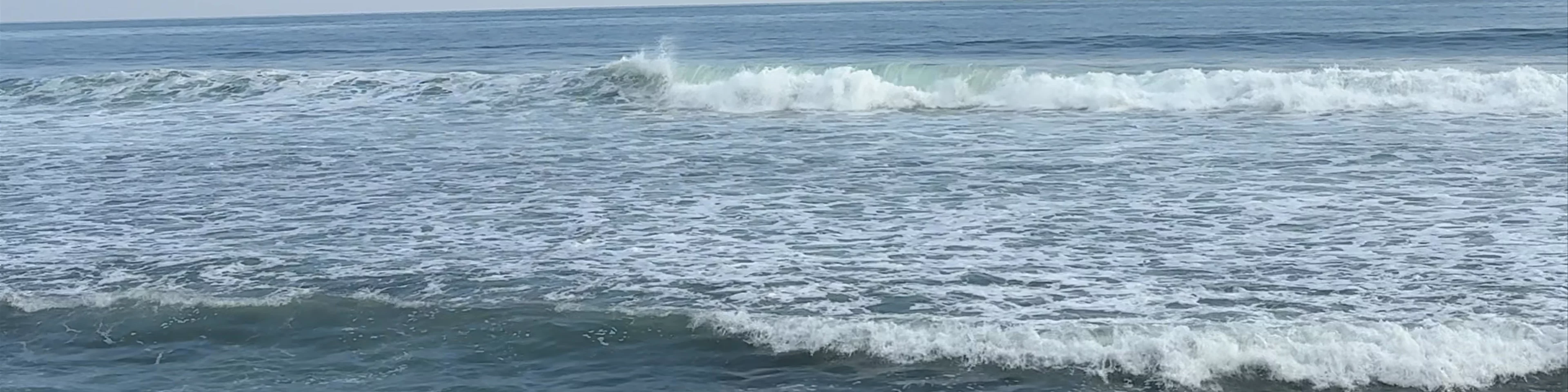 Playa El Sunzal