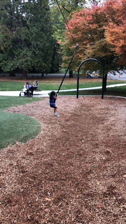 Mt. Baker Park - 10/27/18 - Parks Near Me - Seattle, Washington