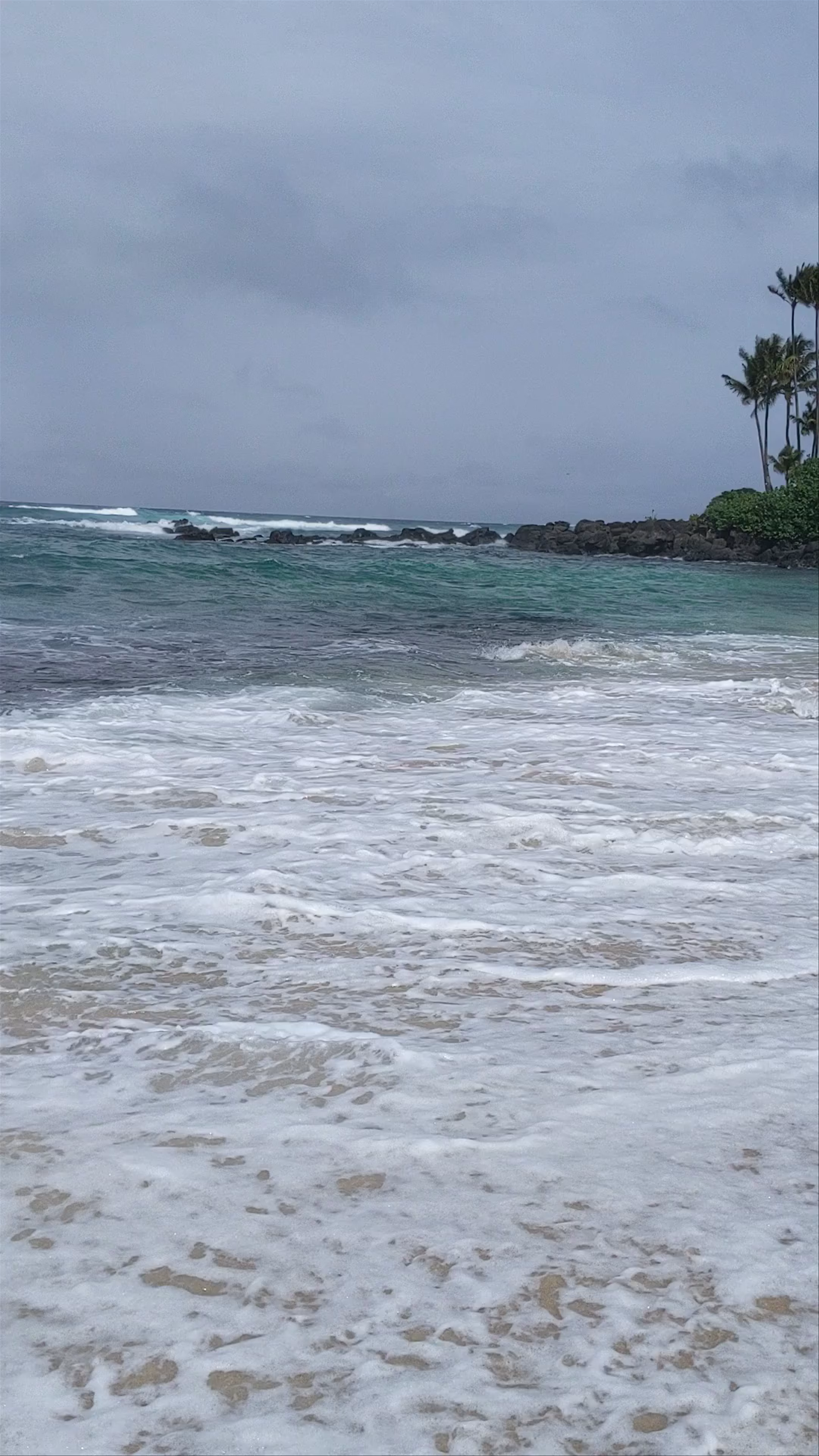 Laniakea Beach