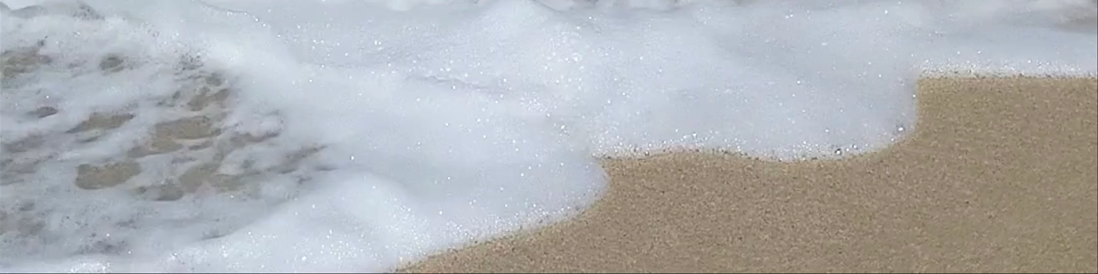 Laniakea Beach