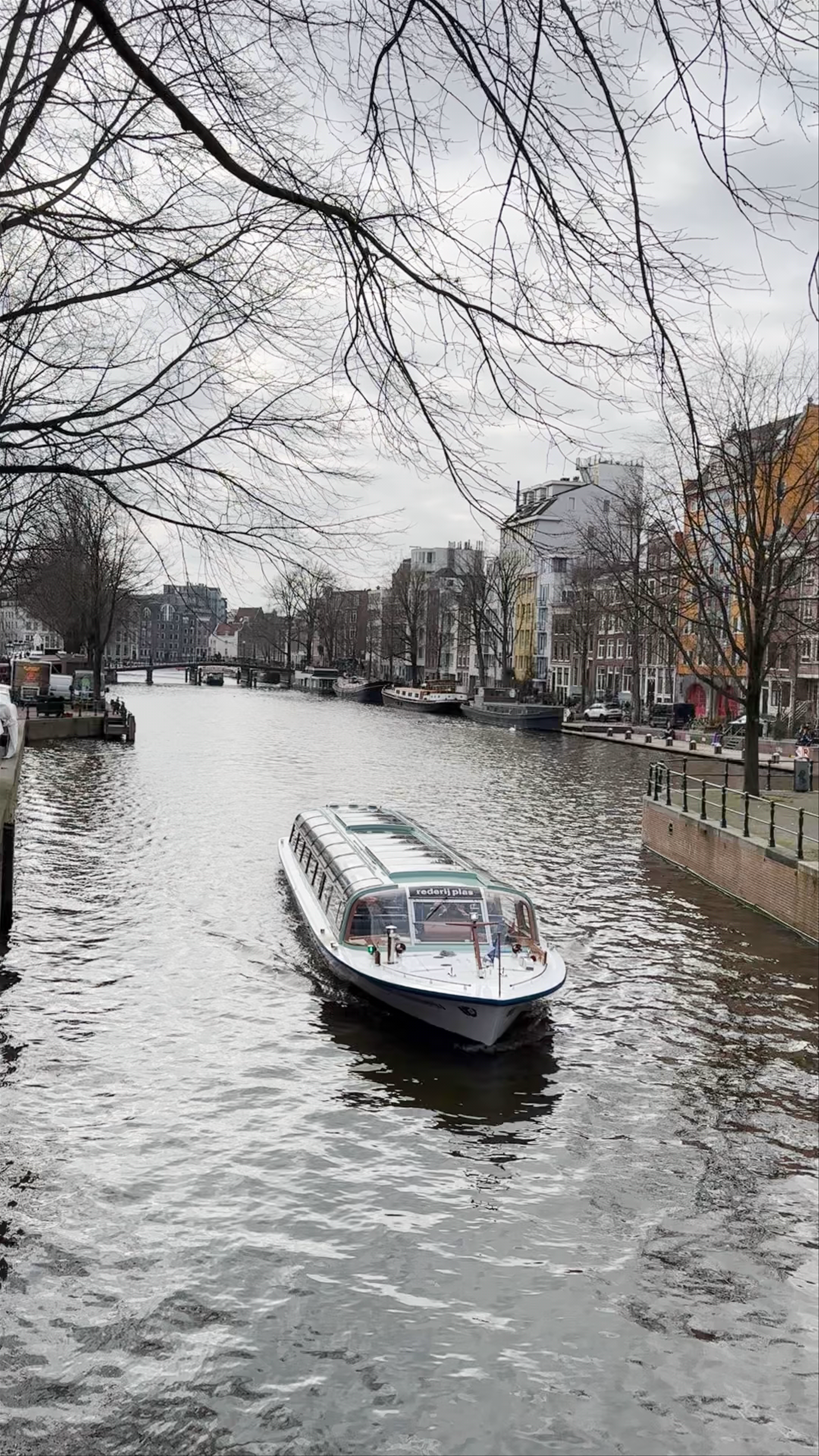 Tranquil Canal Cruise at Waterlooplein, Amsterdam