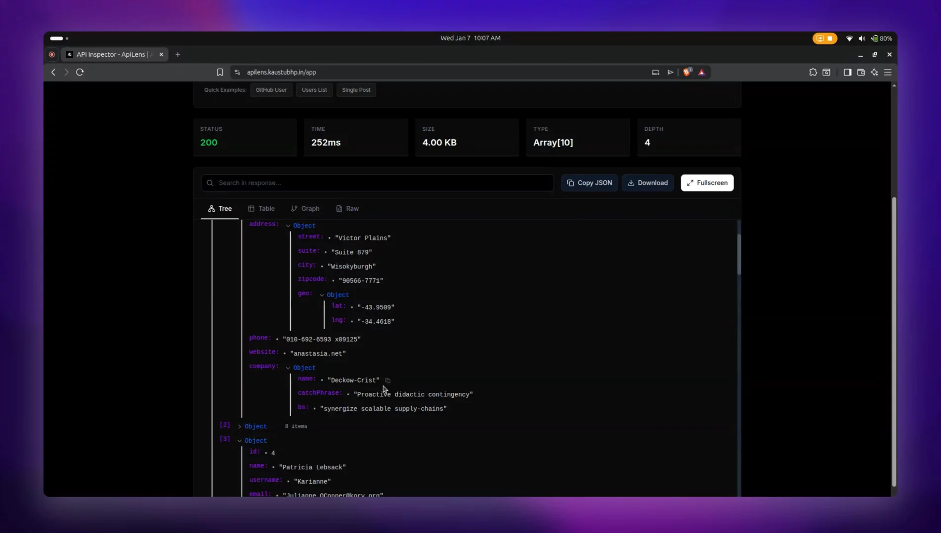 ApiLens - Free JSON API Visualizer Tool image 1